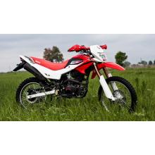 IRBIS TTR250R
