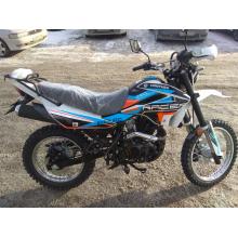 RACER  Panther  RC250GY - C2